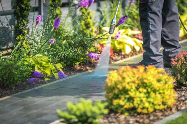 Best Animal Enclosure Cleaning  in Wewahitchka, FL