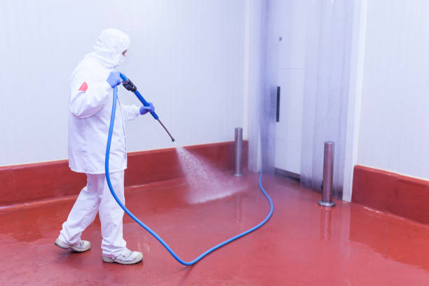 Best Graffiti Removal  in Wewahitchka, FL