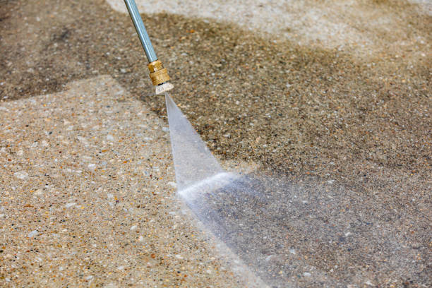 Best Building Exterior Washing  in Wewahitchka, FL