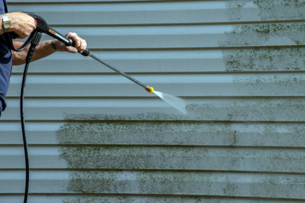 Best Solar Panel Cleaning  in Wewahitchka, FL